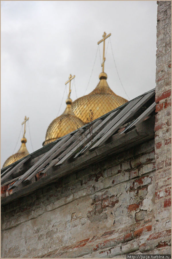Галопом и рысью по окрестностям Лужецкого монастыря Можайск, Россия