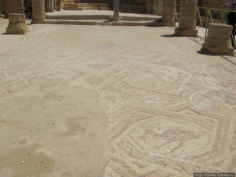 Мозаичный пол церкви Святого Нилуса. Иерусалим, Израиль