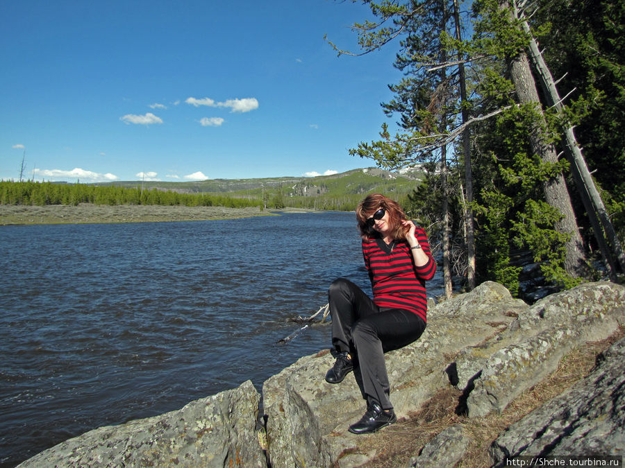 Река Мэдисон (Madison River) - 23 километра пути Йеллоустоун Национальный Парк, CША