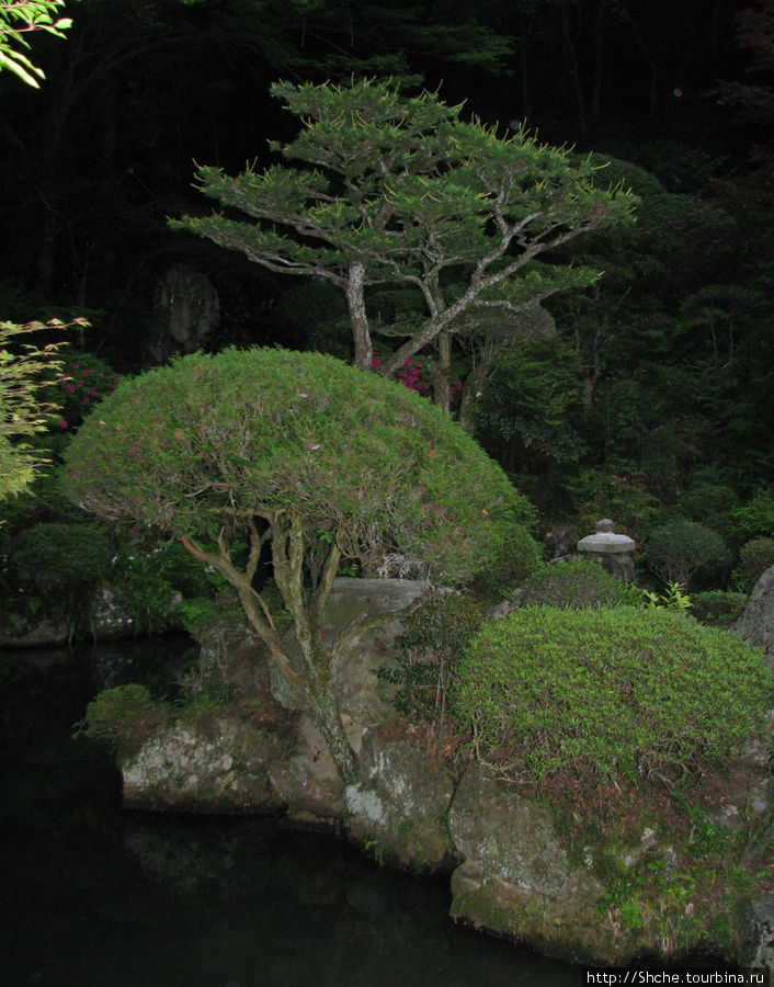 Элемент старого парка за храмом Касугаи, Япония