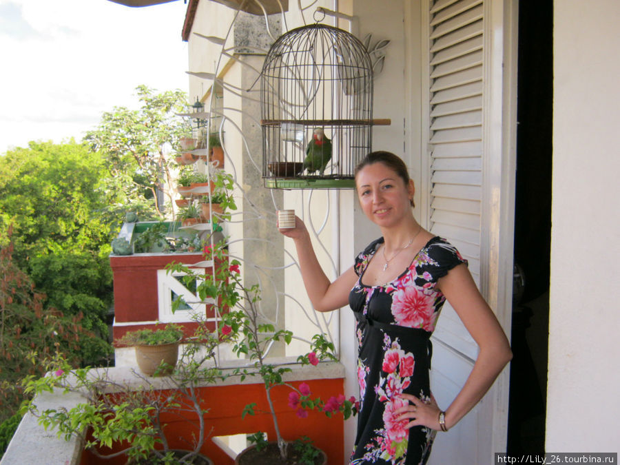 Утреннее кофе на балкрнчике в Гаване Куба