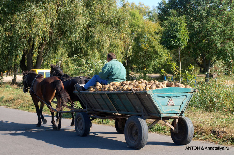 Город лошадиных повозок - часть 1. Удивительный транспорт Млинов, Украина