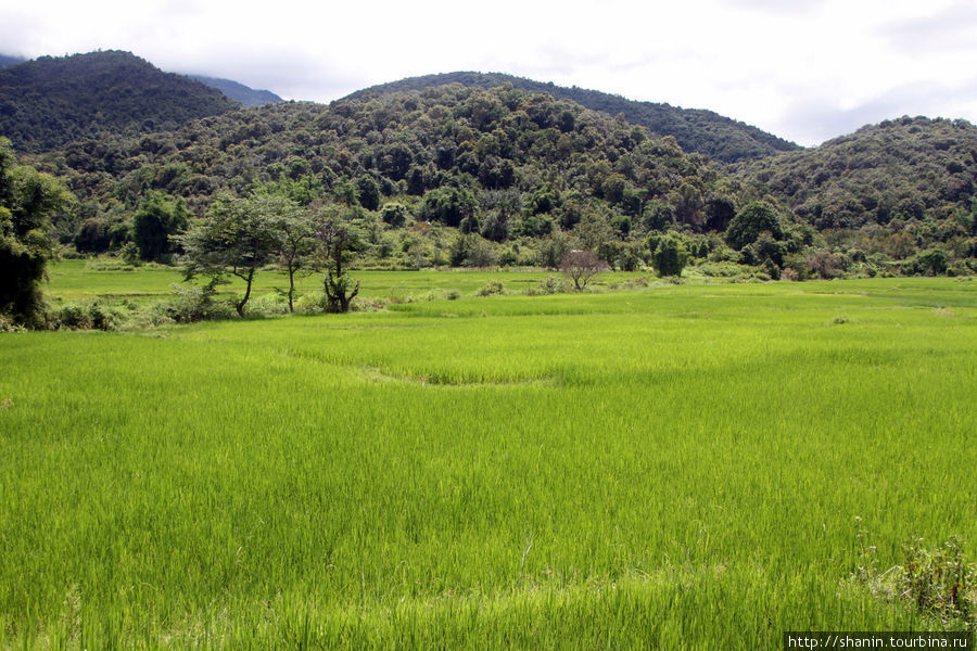 Сельская жизнь в окрестностях Пхонсавана Провинция Сиенгкхуанг, Лаос
