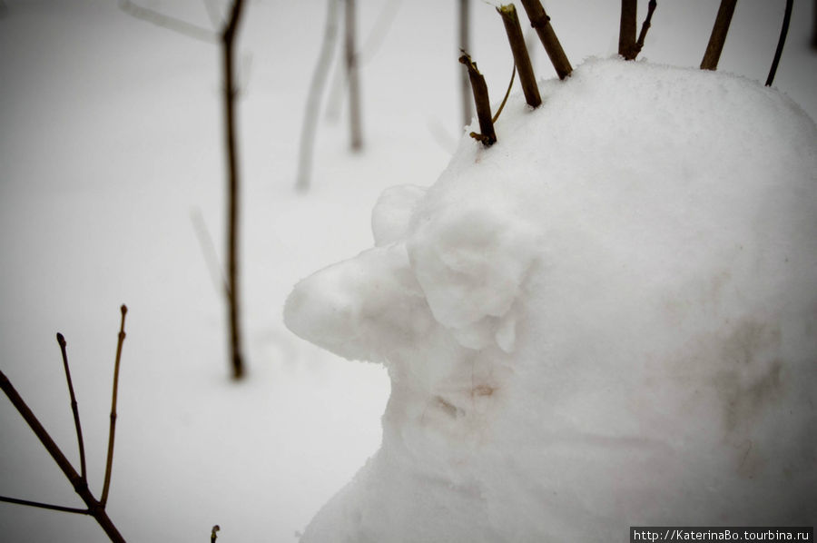 Панкующий снеговик! Москва, Россия