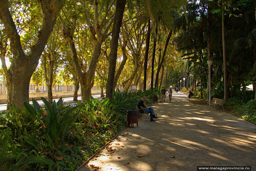 Прогулки по тропическому парку Малаги в середине октября Малага, Испания