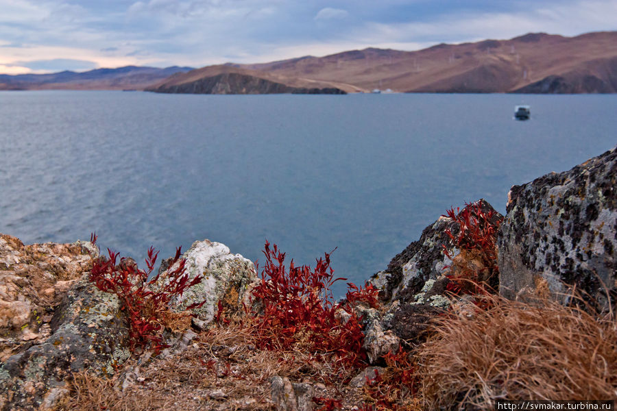 Паромная переправа на Ольхон Малое море Ушканьи острова, Россия