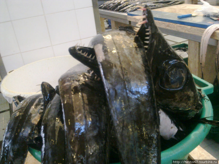 На рынке в Фуншале. Рыба эшпада (сабля). Снято на телефон. Регион Мадейра, Португалия