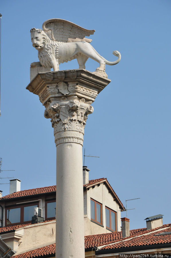 Венецианский лев Виченца, Италия