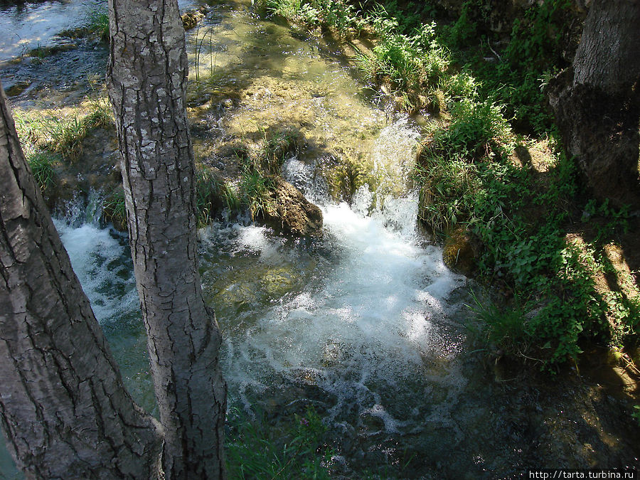 Журчит вода, делясь прохладой Далмация, Хорватия