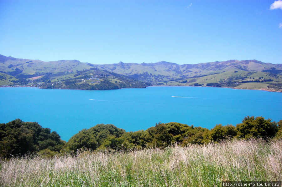 Полуостров Онаве Акароа, Новая Зеландия