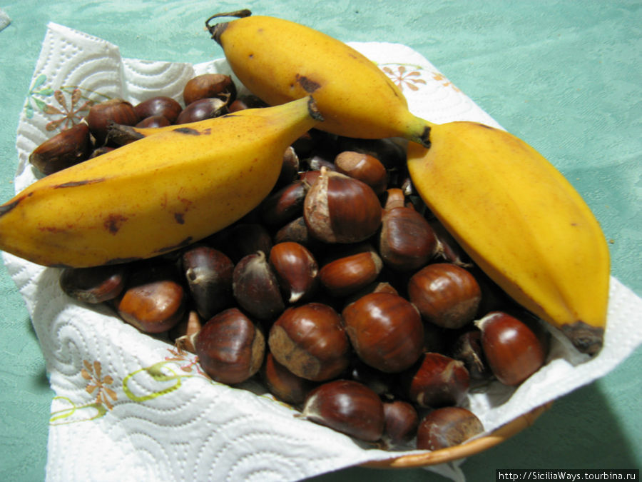 Каштаны собирают на Этне в конце октября.
Крошечные бананы выращивают в не очень больших количествах, урожай собирают в течение года. Сицилия, Италия