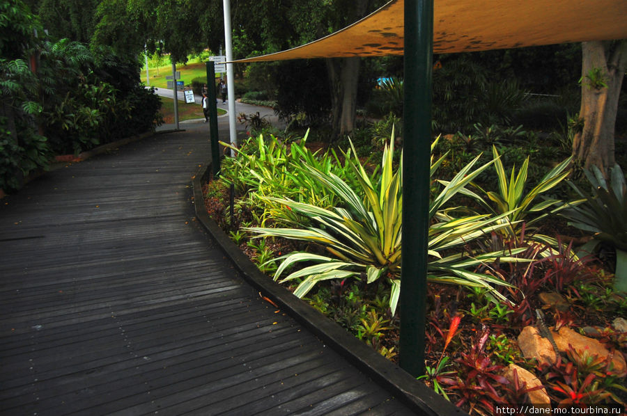 Парк в центре города Брисбен, Австралия