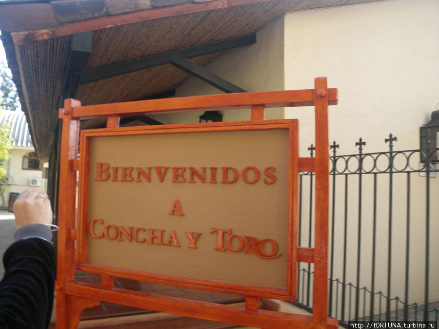 Винодельня Конча и Торо Пирке, Чили