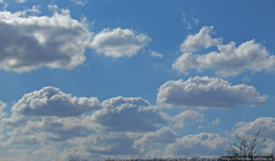 Облака — белогривые лошадки Харьковская область, Украина