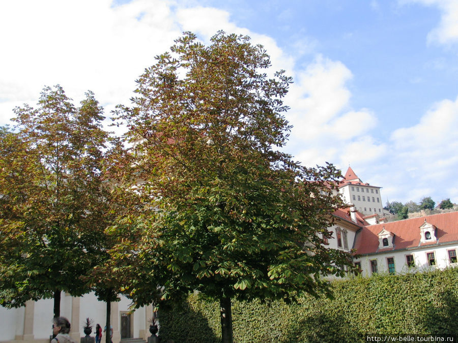 Осень в Вальдштейнском саду Прага, Чехия