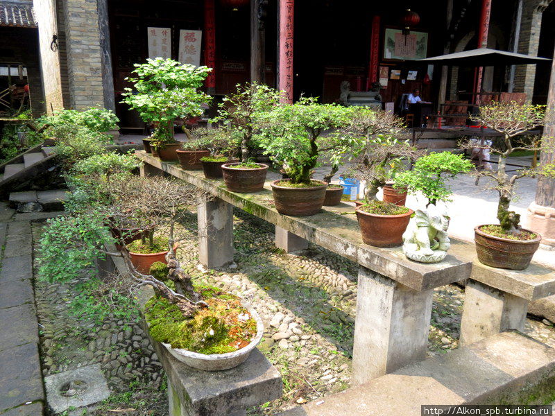 Монастырь, в котором делают самый дорогой чай в мире Провинция Фуцзянь, Китай