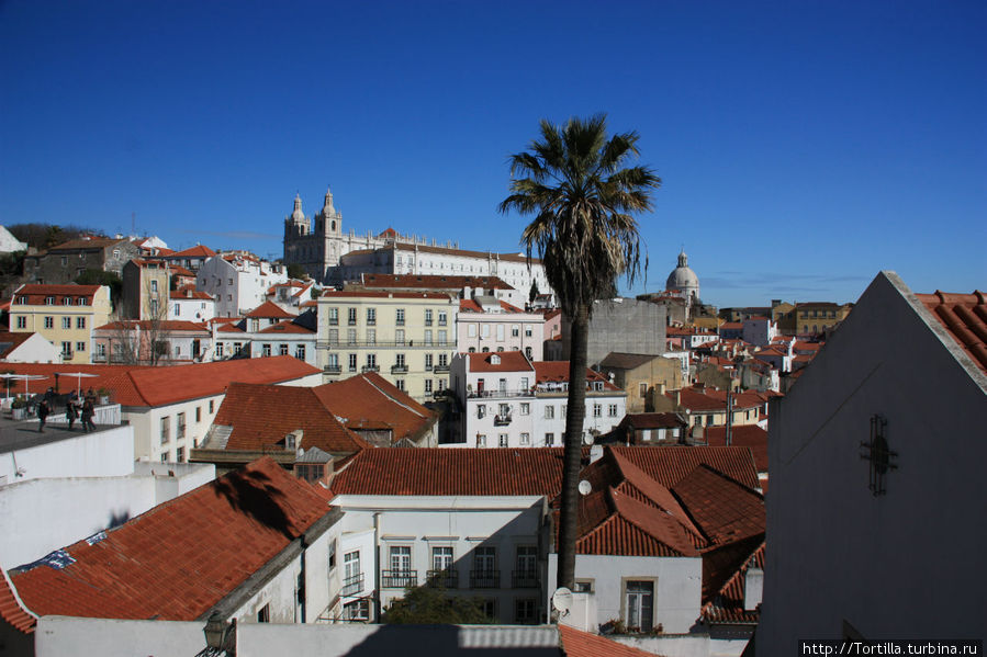 Лиссабон
Вид со смотровой площадки Санта Лусия Лиссабон, Португалия