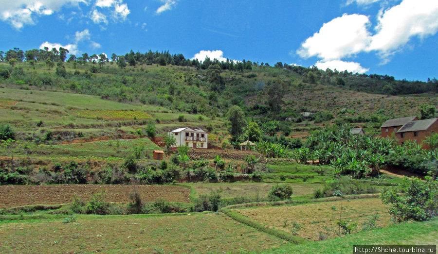 Мадагаскарские картинки. Провинция Антананариву. Восток Провинция Антананариву, Мадагаскар