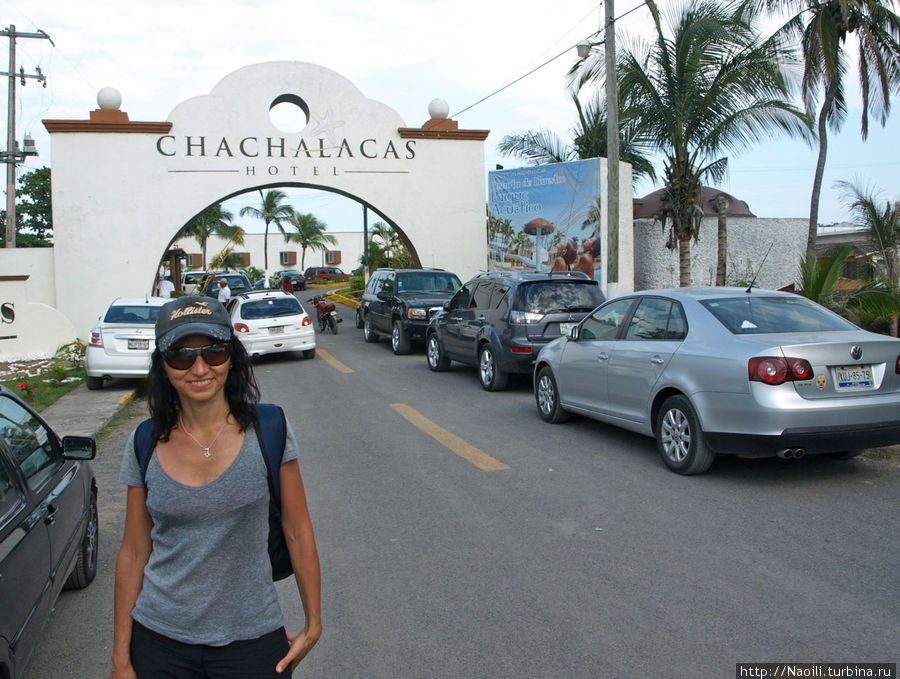 Пляж Чачалака на Мексиканском заливе Штат Веракрус, Мексика