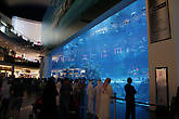 Аквариум в Дубай Молле
