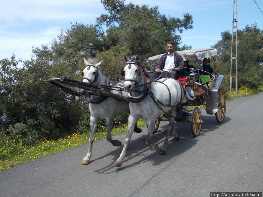 На острове только 5 машин, остальное — кареты и телеги лошадиные Остров Бургаз, Турция