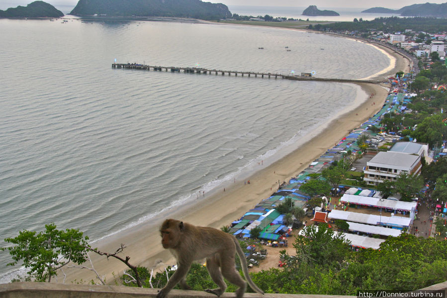 Осторожно обезьянки! Успешный бизнес с видом на море Прачуап-Кхири-Кхан, Таиланд