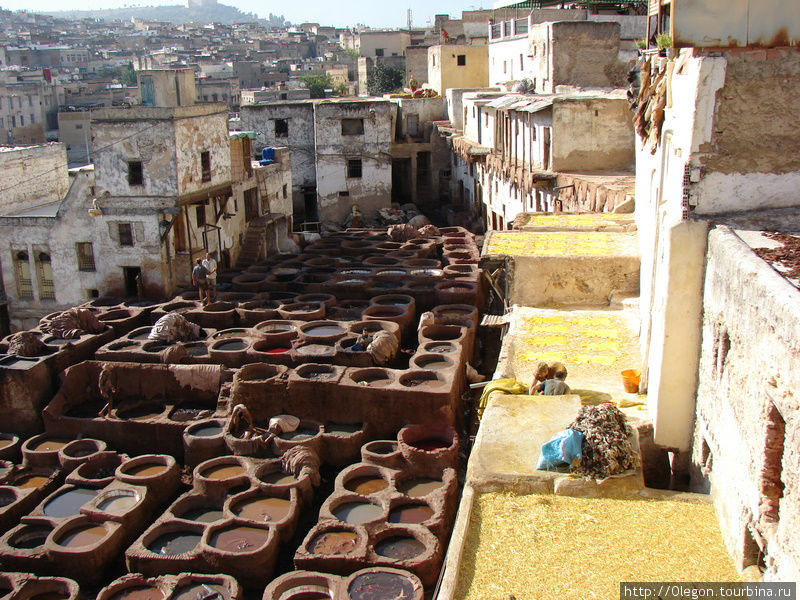 После дубения в извести кожа отправляется в ванны с жидким куриным помётом, именно поэтому здесь стоит такая вонь Фес, Марокко