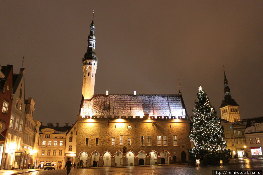Зимний Таллин Таллин, Эстония