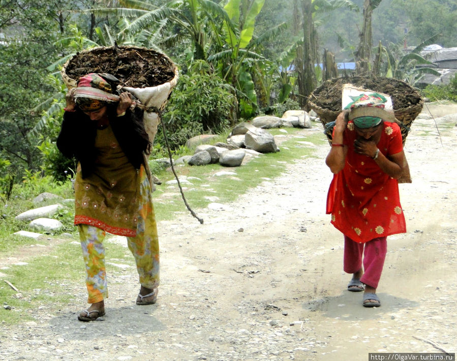 А одеты девушки по-праздничному Гандрук, Непал