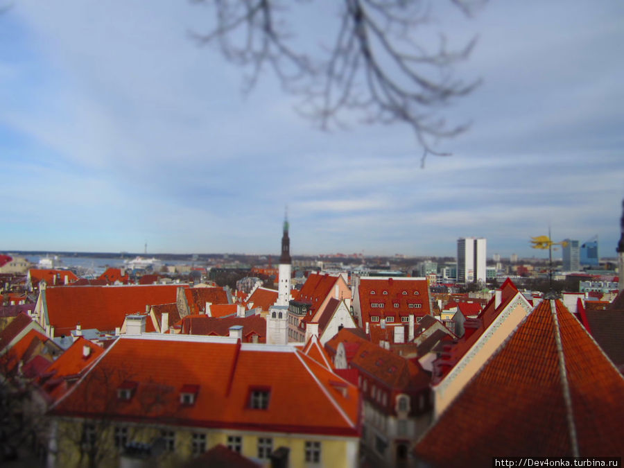 Когда вспоминаю про Таллин, первым словом на ум приходит крыши Таллин, Эстония
