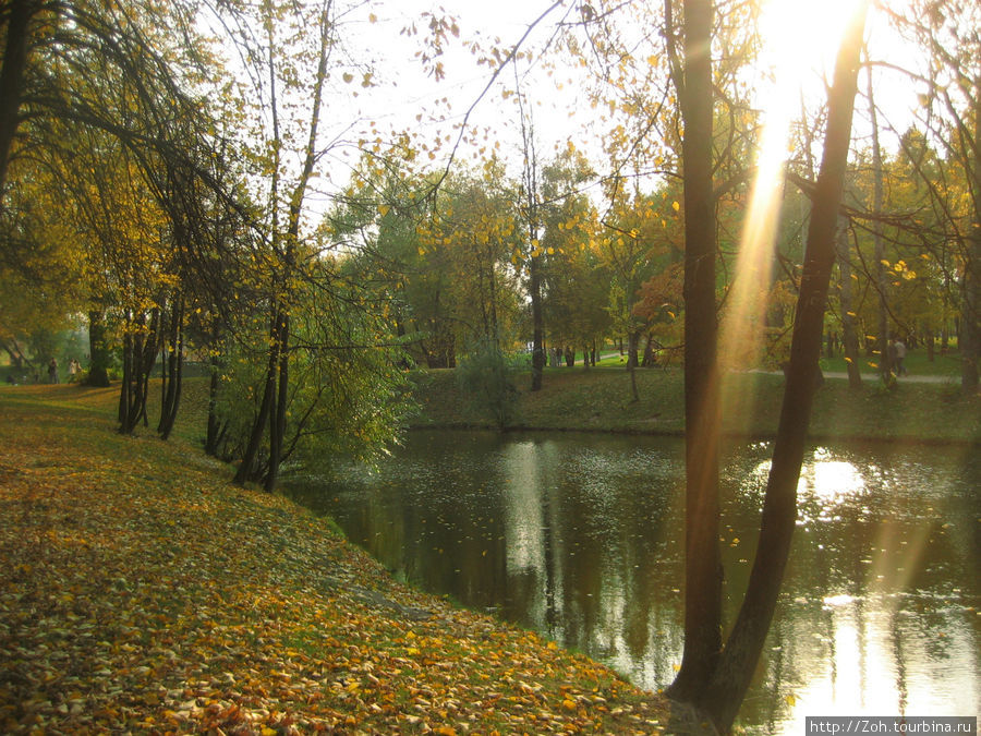 Осень отразилась в прудах Воронцовского парка. Москва, Россия