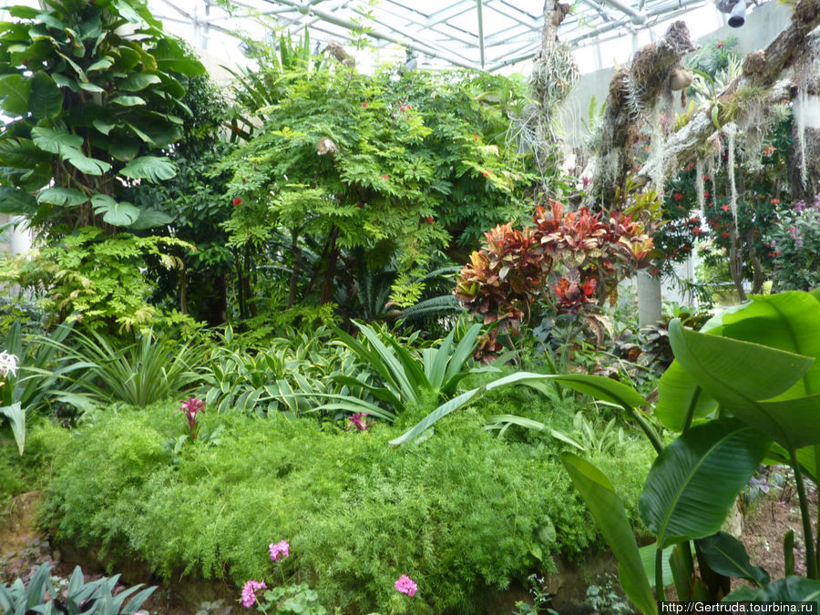 Ботанический сад - оранжереи