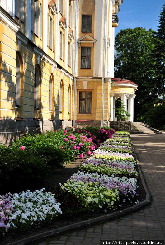 Ботанический сад. Июнь Санкт-Петербург, Россия