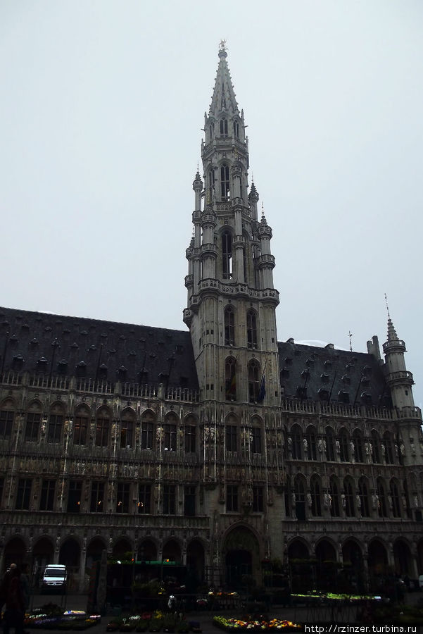 ратуша Брюссель, Бельгия