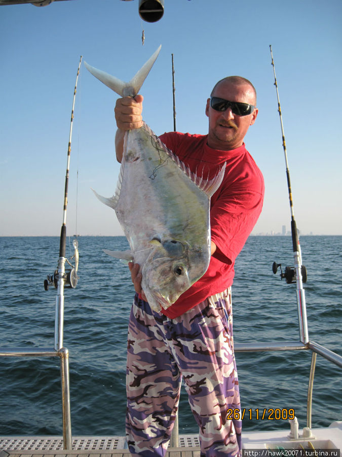Рыбы персидского залива