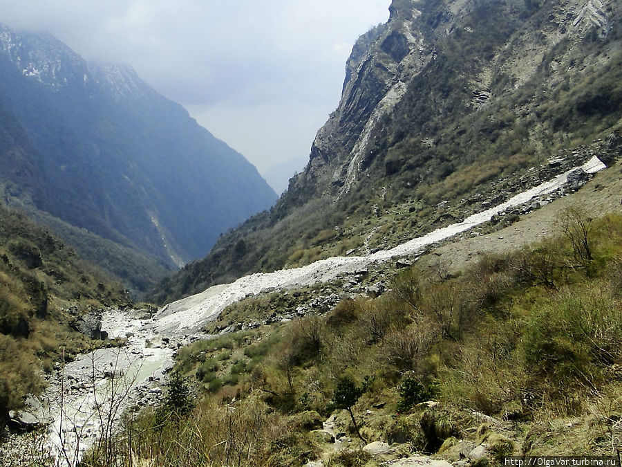 Встреча двух рек. Летом эта махина растает и наполнит холодными водами протекающую по ущелью реку Модикхола Национальный парк Аннапурны, Непал