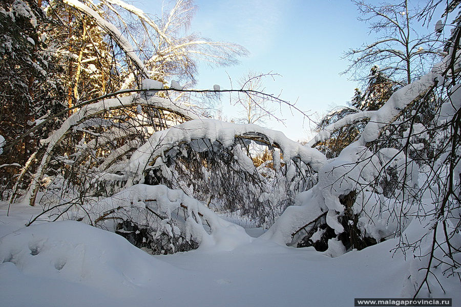 Сказочная зима в Подмосковье Железнодорожный, Россия