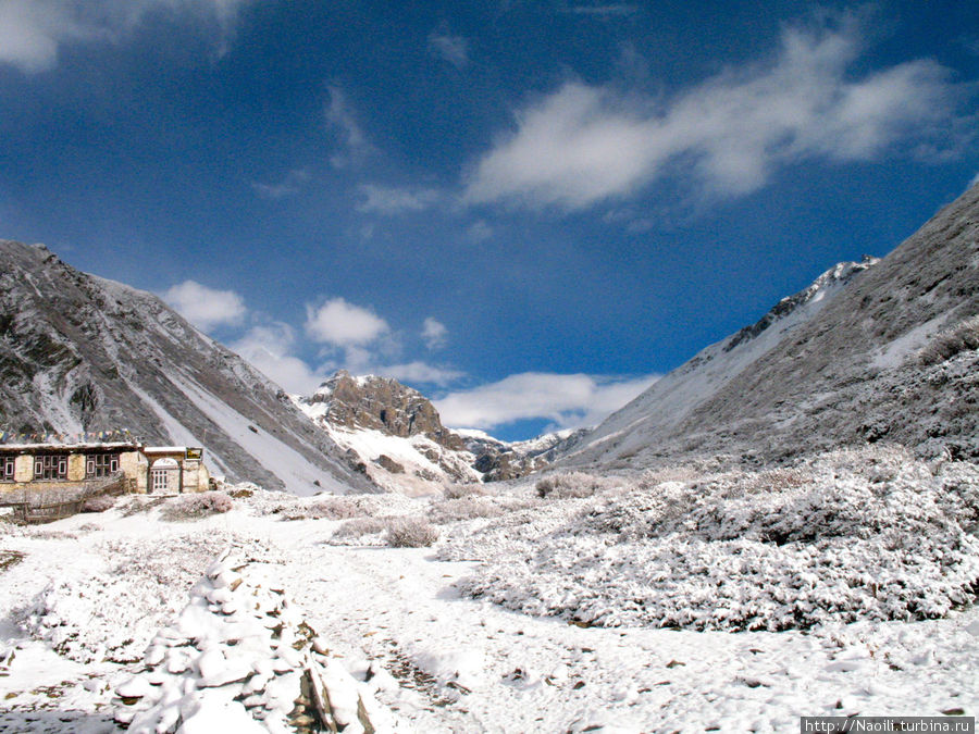 Трек вокруг Аннапурны: Снег и лед в окрестностях Торонг Педи Торонг Педи, Непал