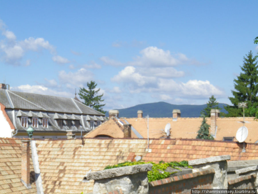 Черепичные крыши Сентендре Сентендре, Венгрия