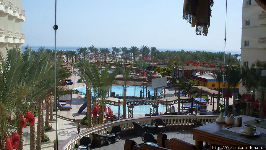 Festival Riviera Resort Хургада, Египет