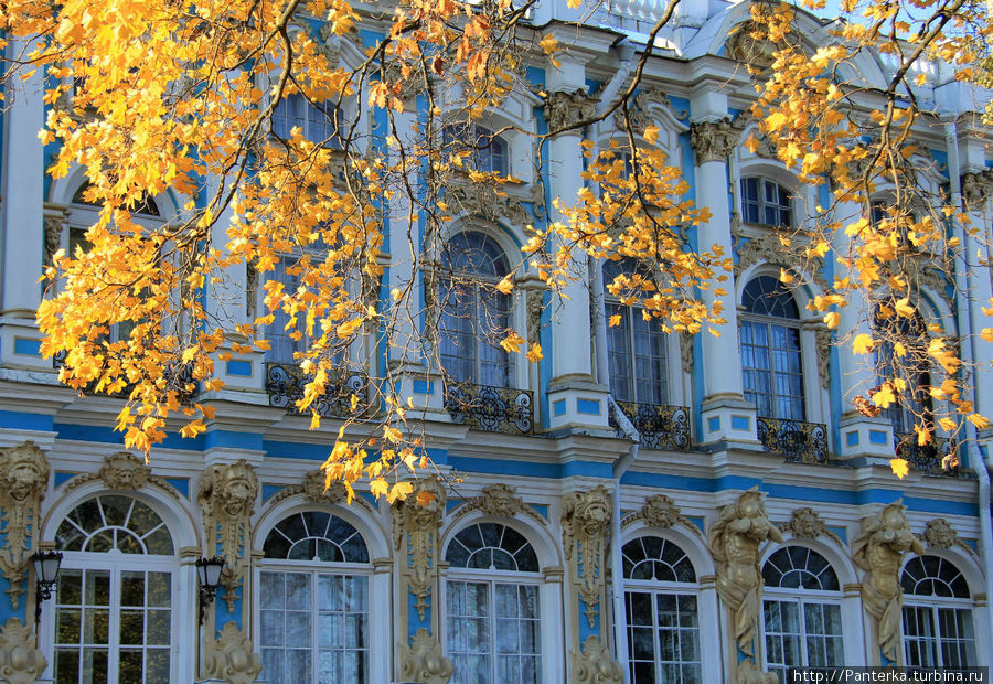 Затерявшееся воспоминание про золотую пушкинскую осень Пушкин, Россия