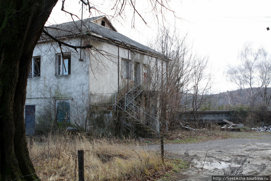 Замок Сент-Миклош Чинадиево, Украина