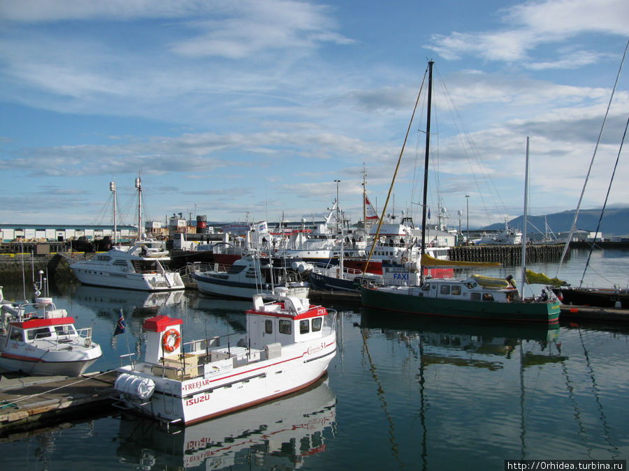Порт города Рейкьявик и его обитатели Рейкьявик, Исландия