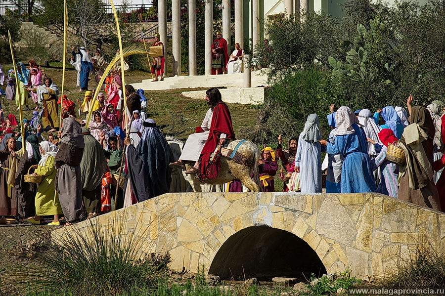 Въезд в Иерусалим на ослике Малага, Испания