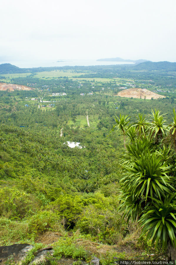 Тайланд. остров Koh samui Остров Самуи, Таиланд