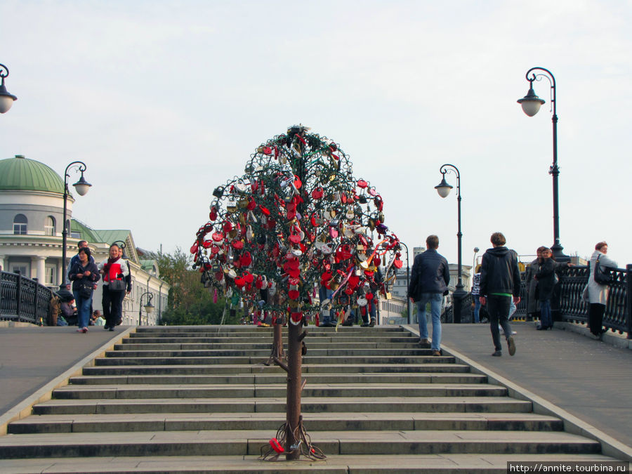 Деревья любви на Лужковом мосту. Москва, Россия