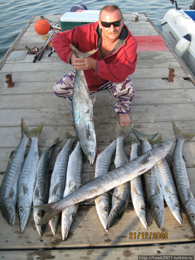 Рыбалка в Персидском Заливе. ОАЭ Аджман, ОАЭ