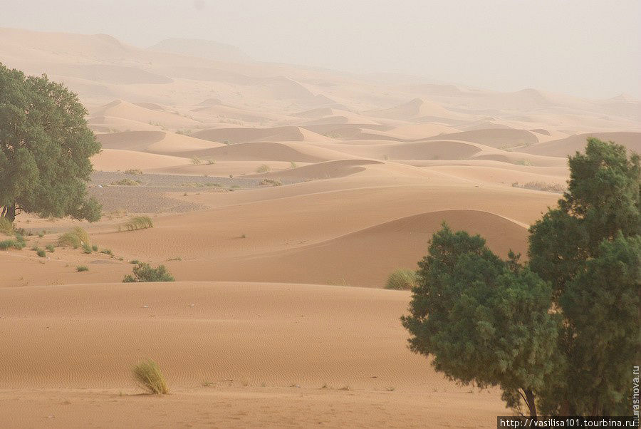 Рассветные дюны Мерзуги и песчаная буря Мерзуга, Марокко