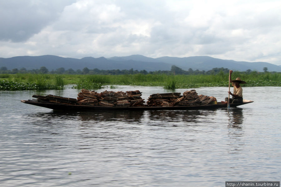 Дрова на озере Инле тоже перевозят на лодках — как и все остальное Ньяунг-Шве, Мьянма