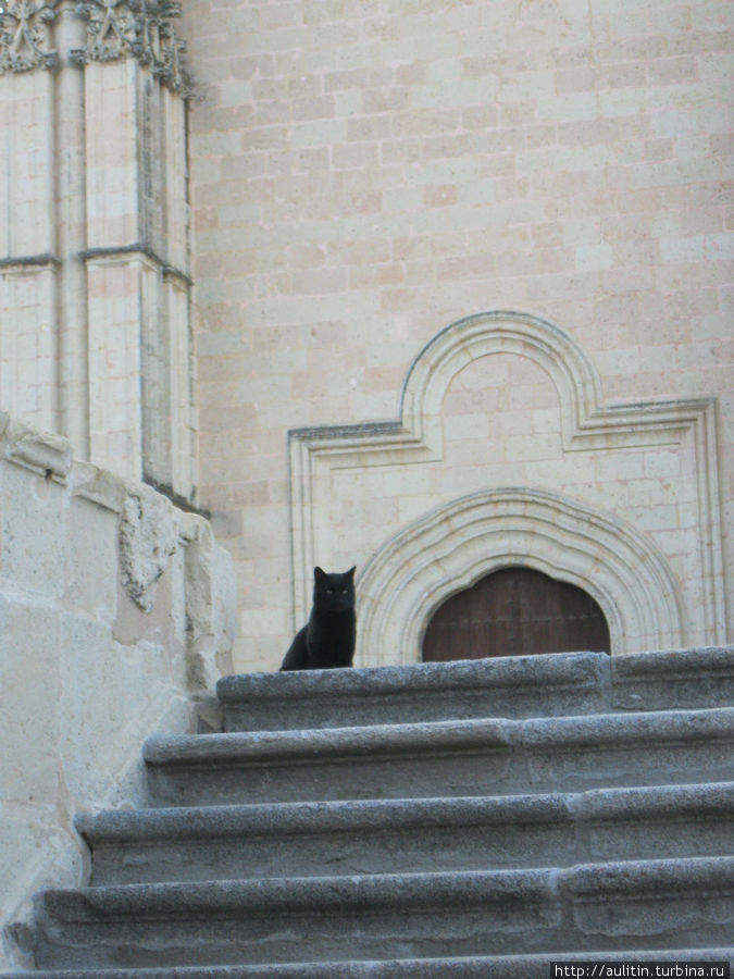Сеговийский кот. Сеговия, Испания